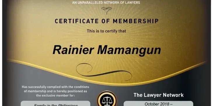 THE LAWYER NETWORK